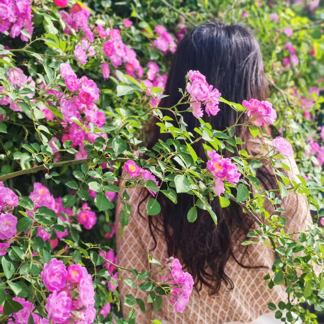 是妮妮呀