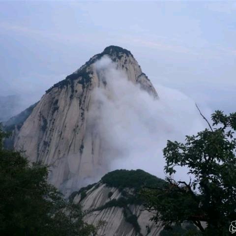 四叶草8118844342884