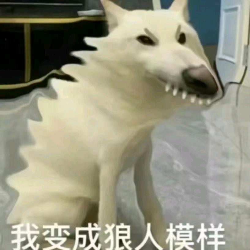 气喘嘘嘘