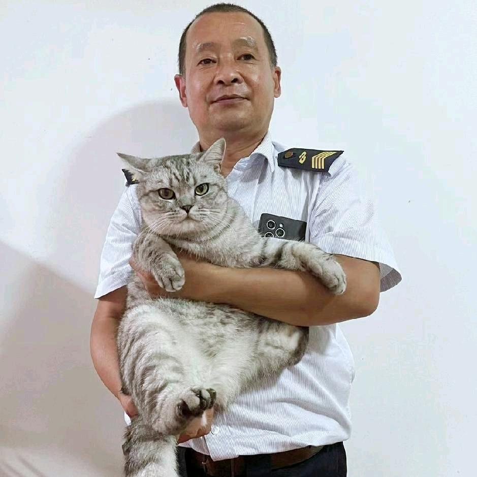 🇨🇳海宝🇨🇳