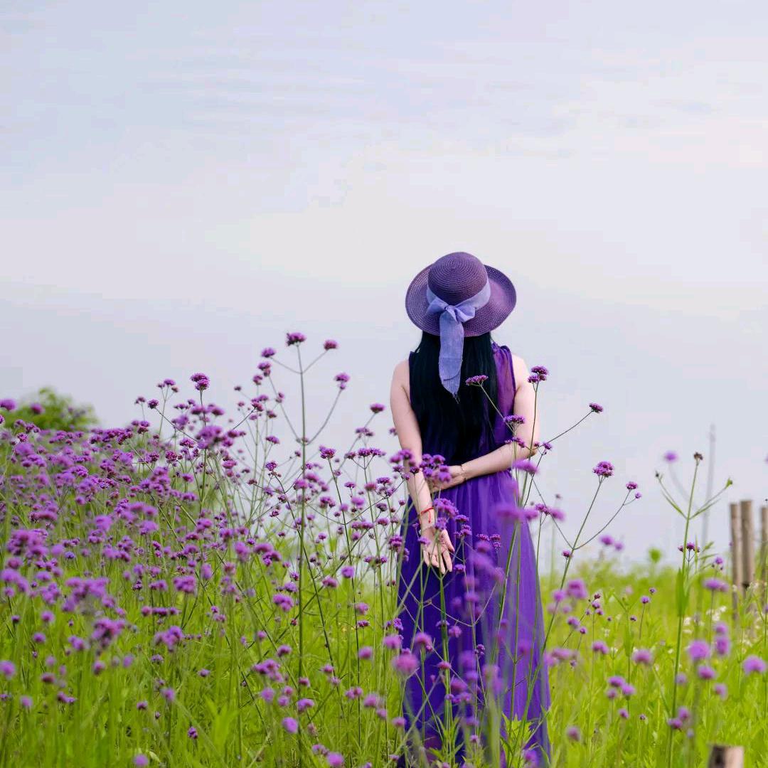 居然~兔宝宝全屋定制~滨湖店