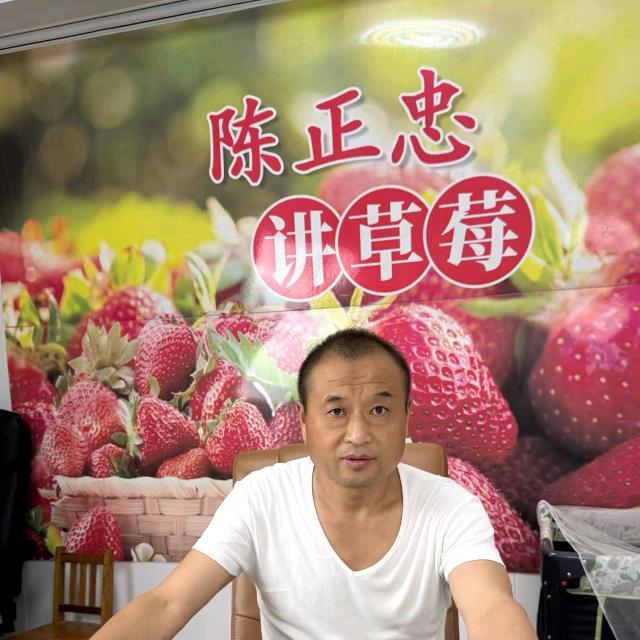 陈正忠讲草莓