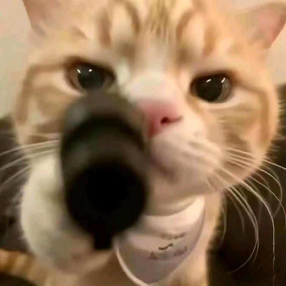 稳稳zzZ