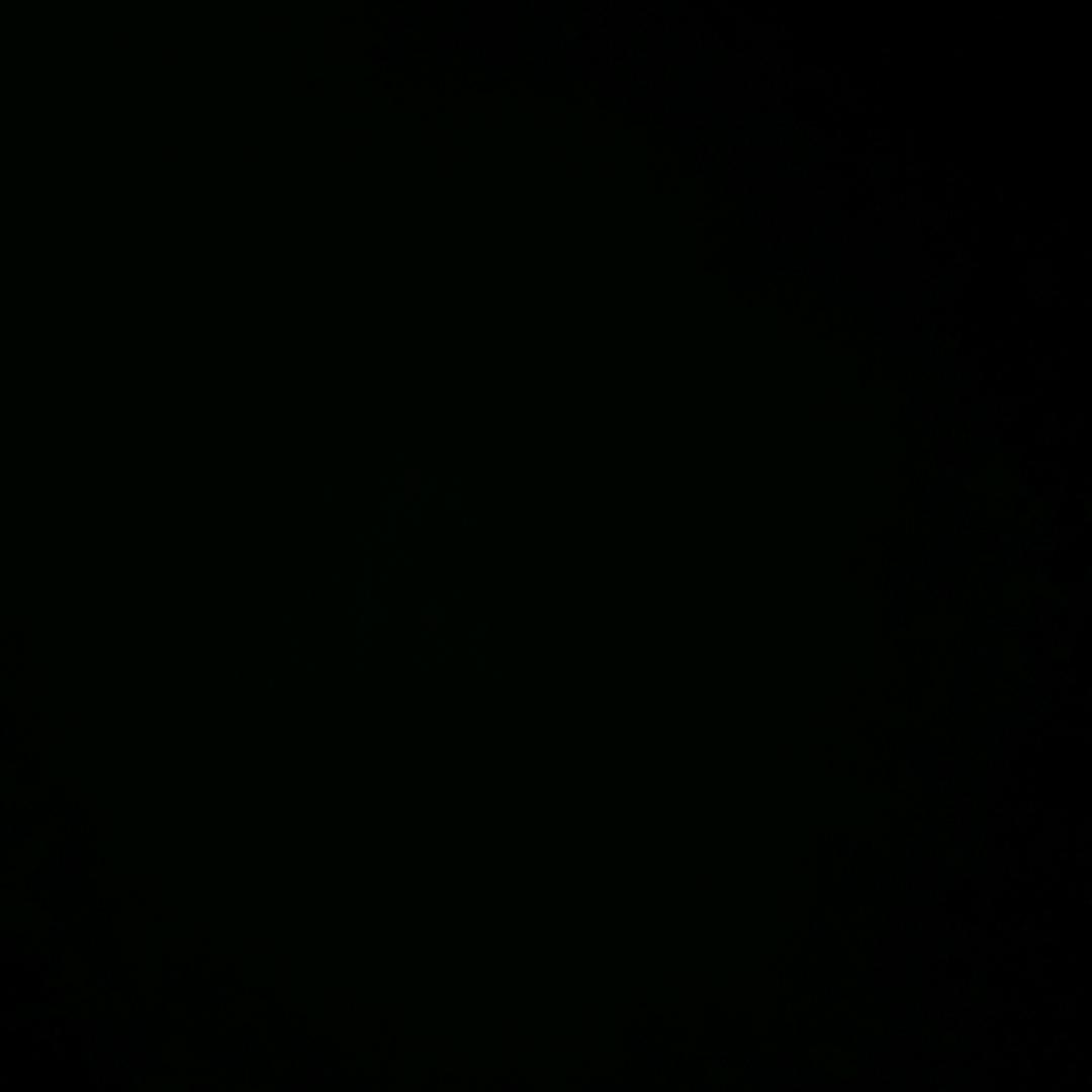 沉默
