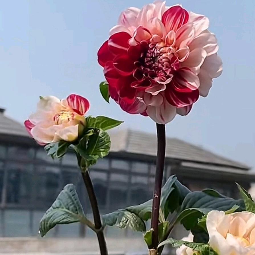 我就是我