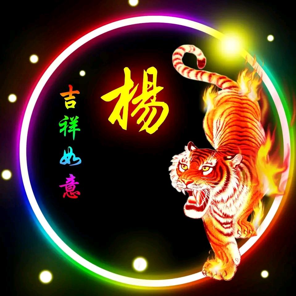 心动的旋律