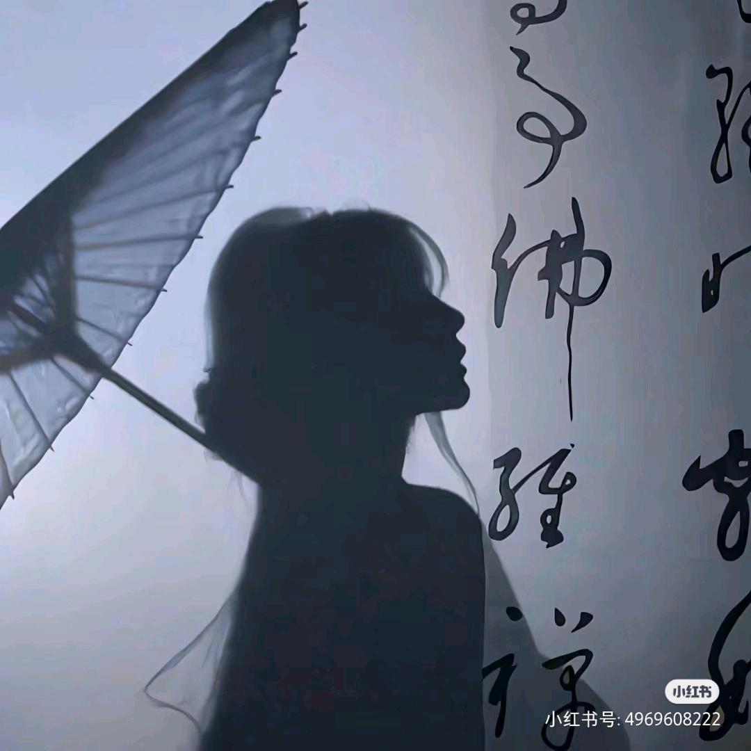 浔禅客