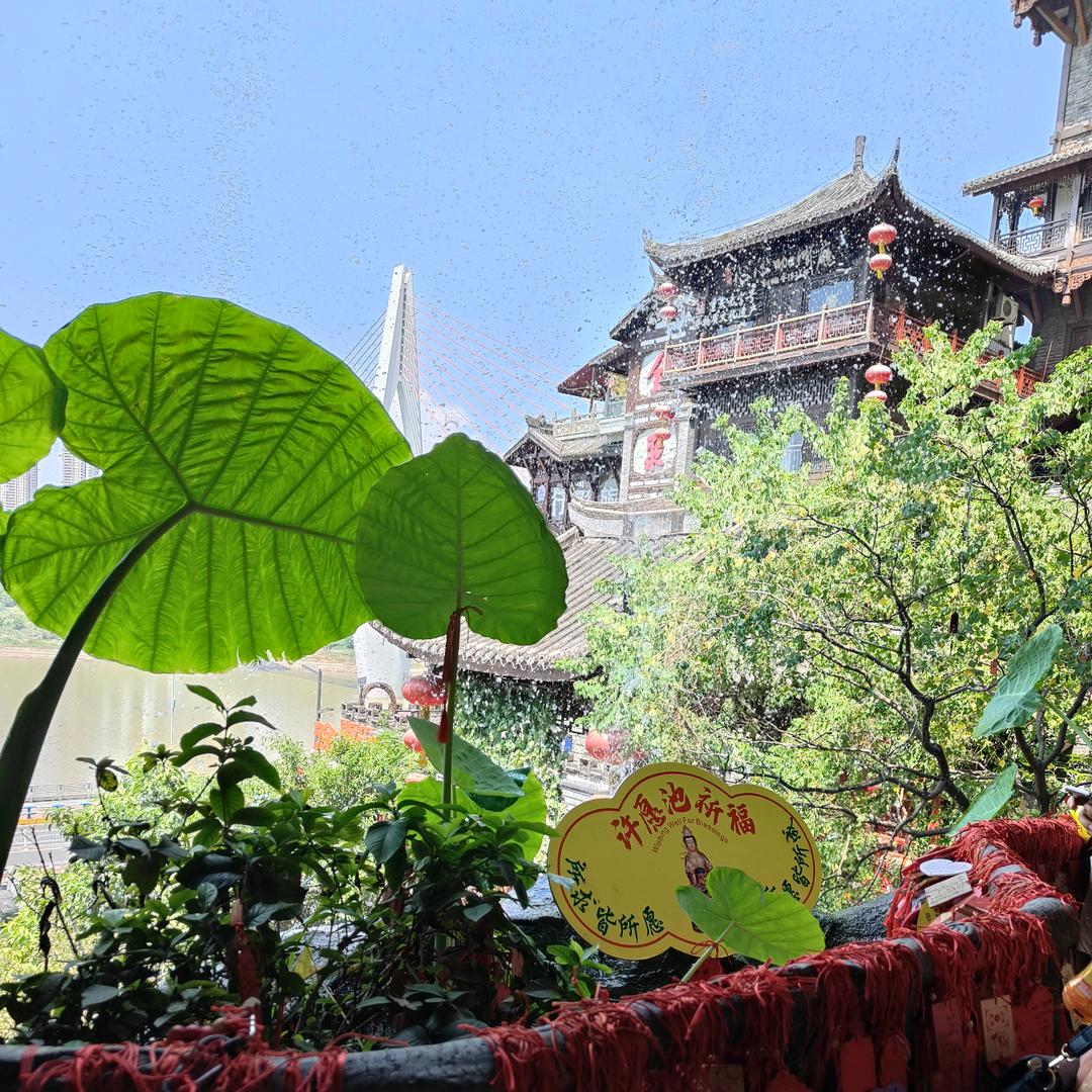 🍀小鱼儿🍀
