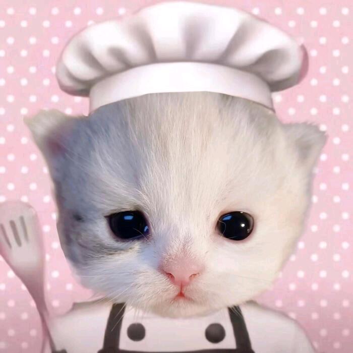 沈皖漁的小助理.困鱼🐟