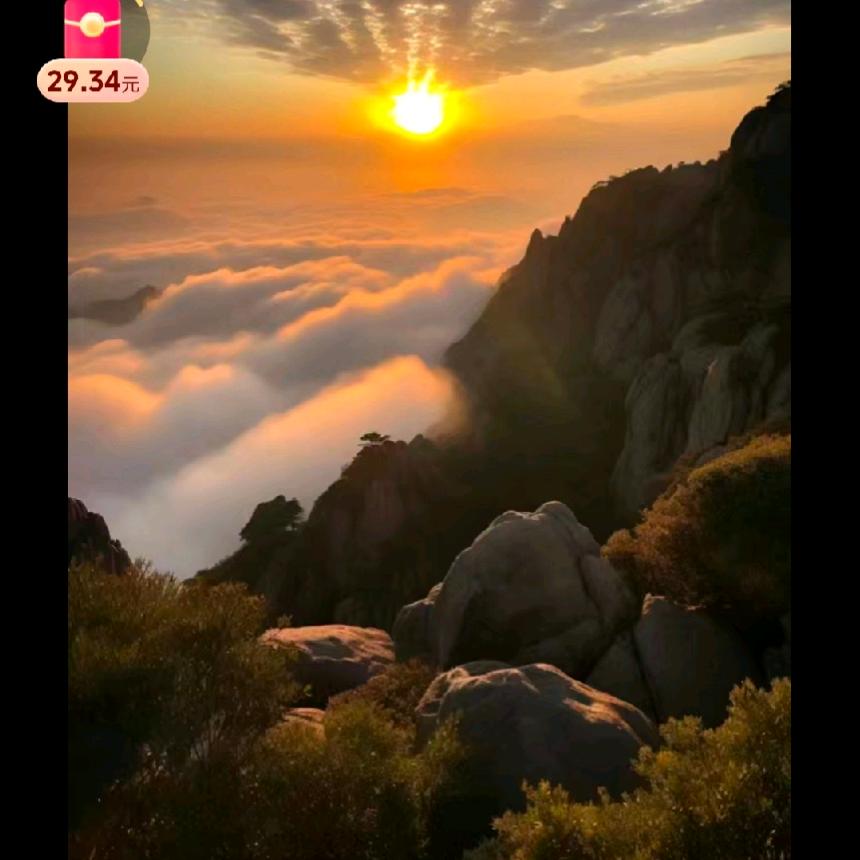 一毛不拔