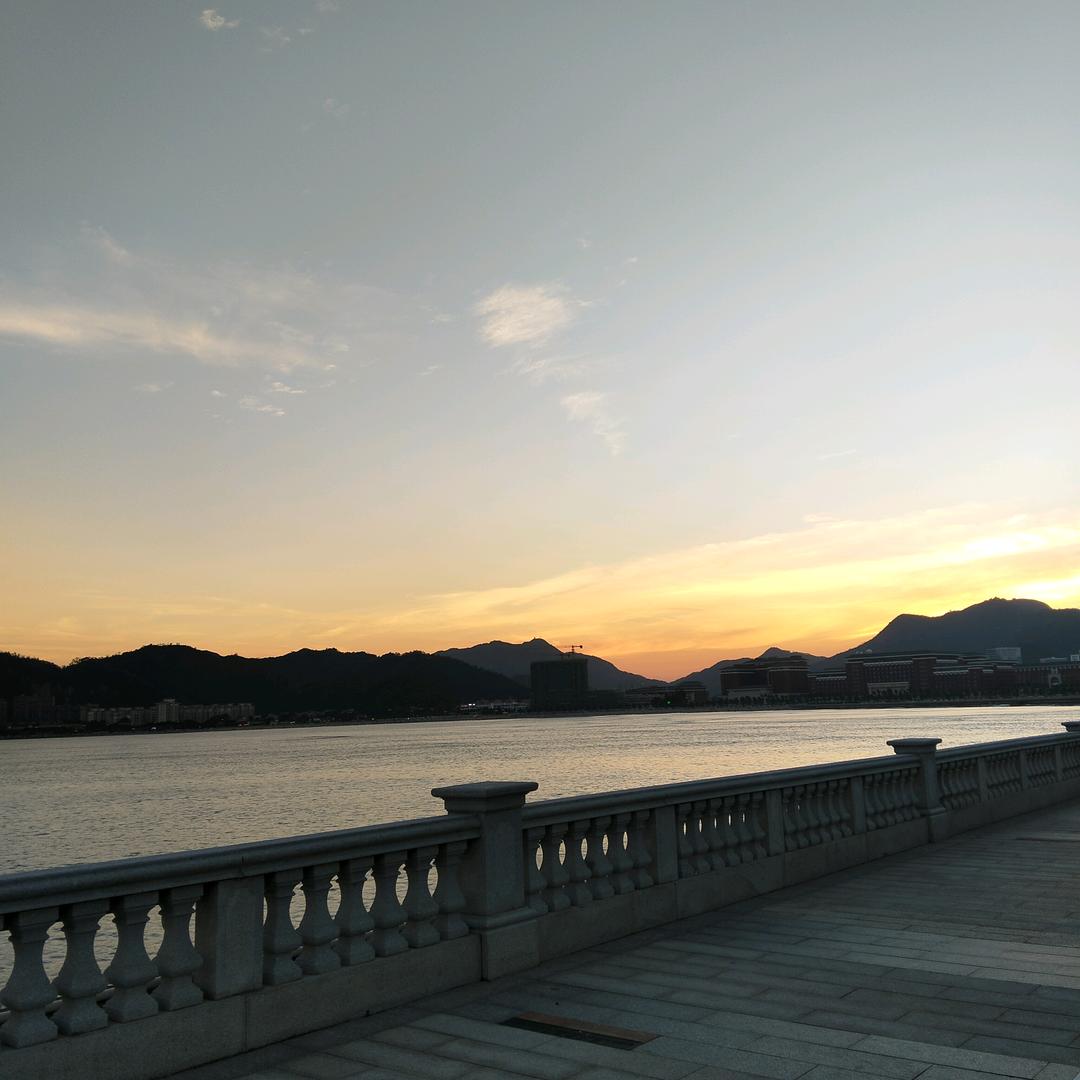 狼鹰