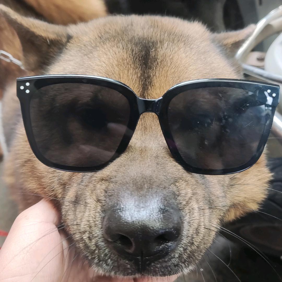 钓遍全世界的鱼