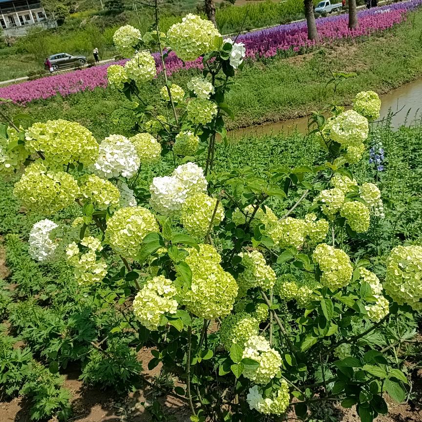 用户6391556682080