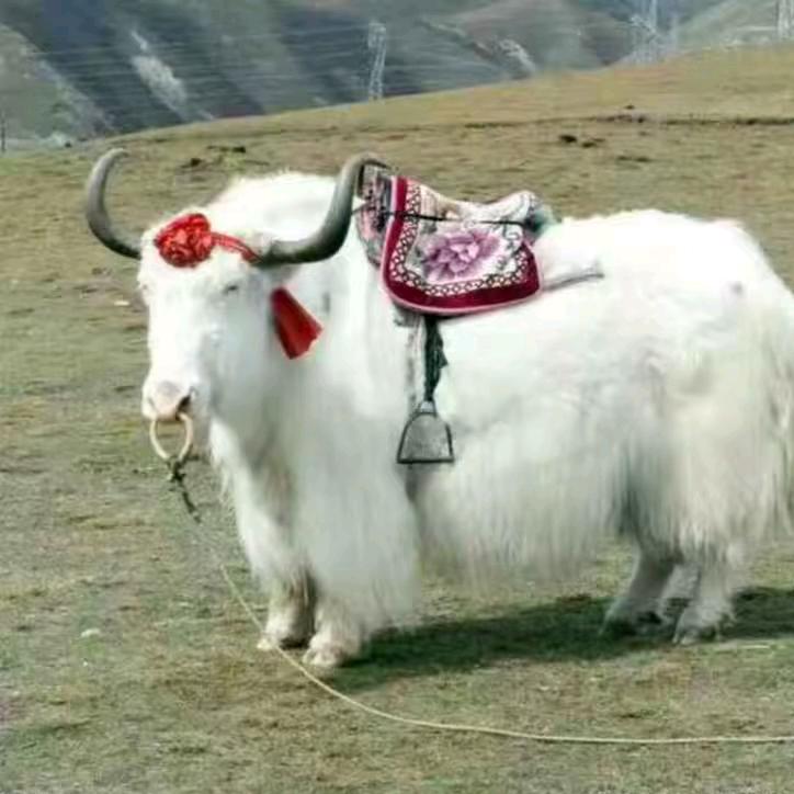 一切随缘 👫☔🌟