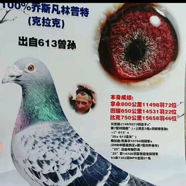 上线为了打发寂寞