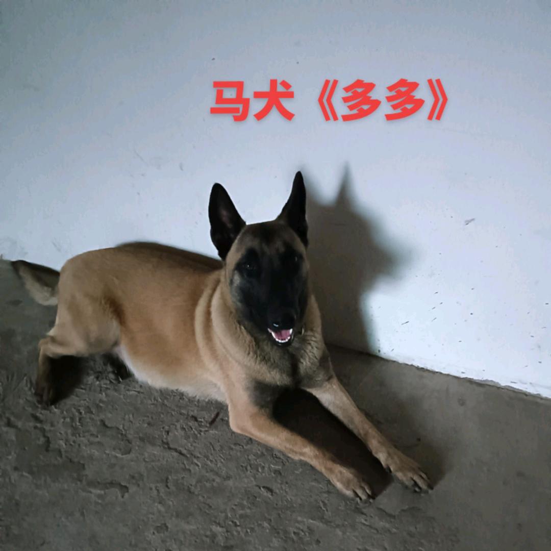 阿弥陀佛《功德无量》🙏🏽🙏🏽