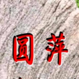 圆萍