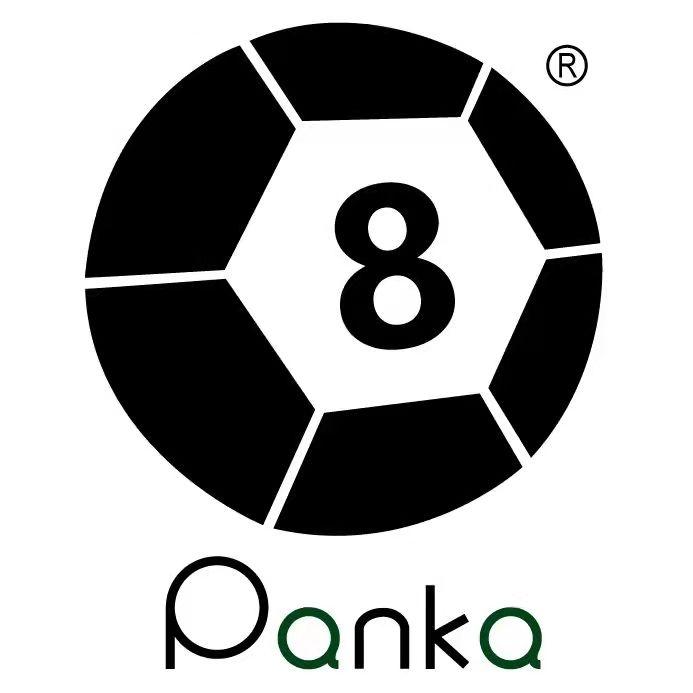 潘卡足球