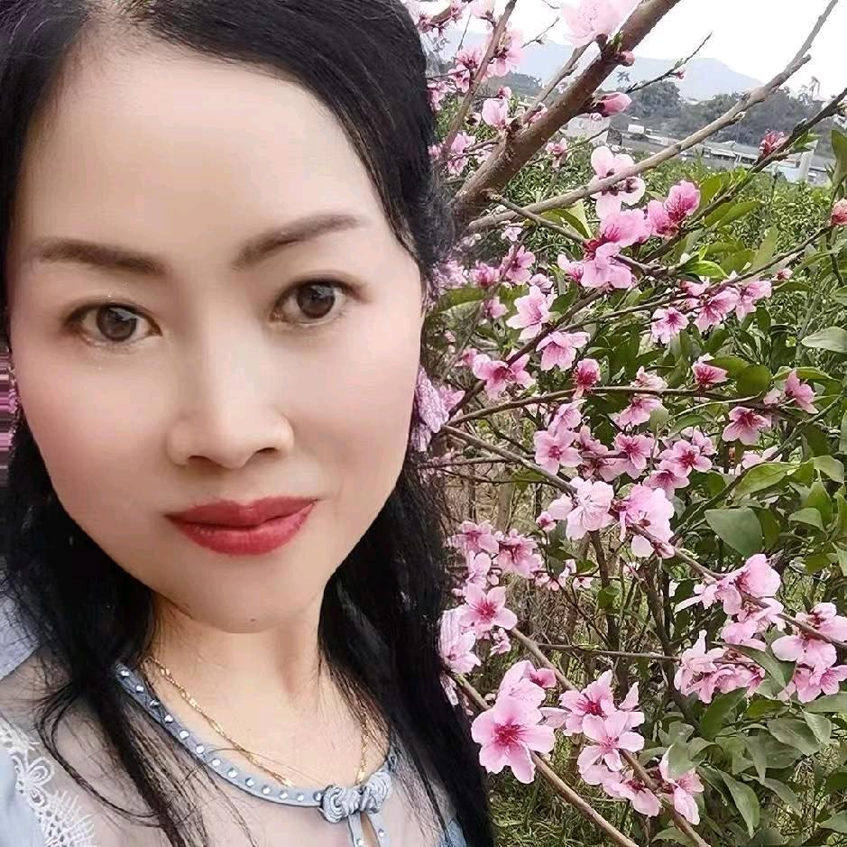 四月（橱窗有好物）