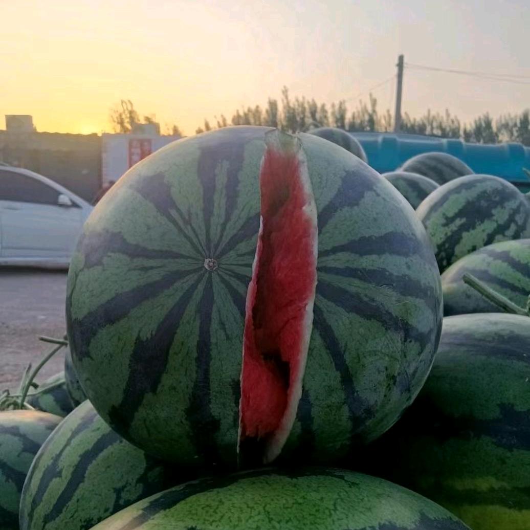 战胜未来