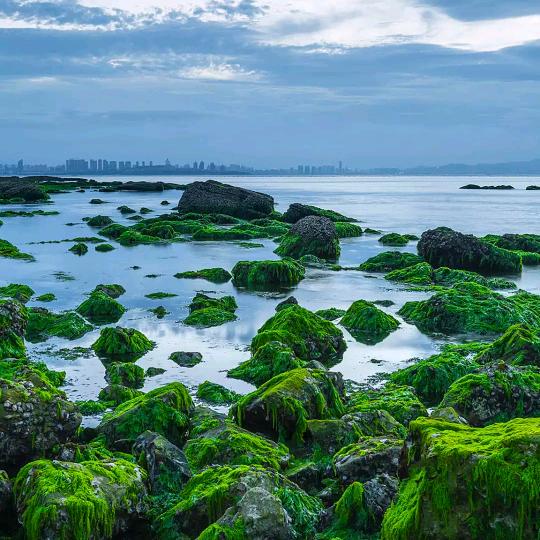 海纳百川