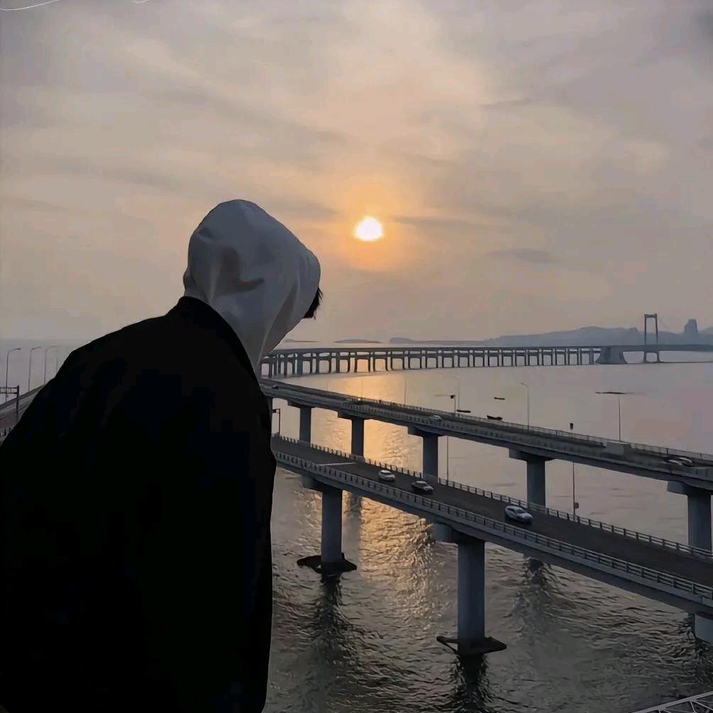 日落藏进风里🌈