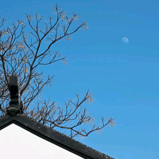钓月居士