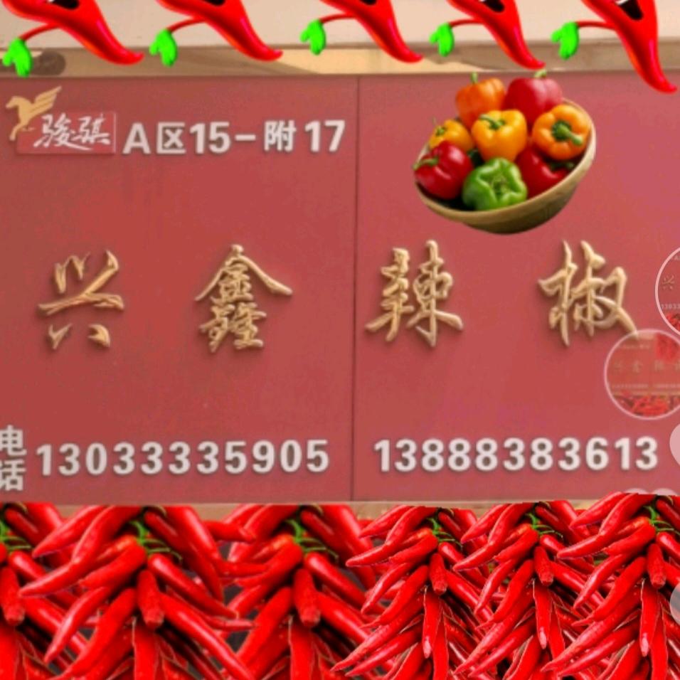 兴鑫辣椒🌶🌶批发