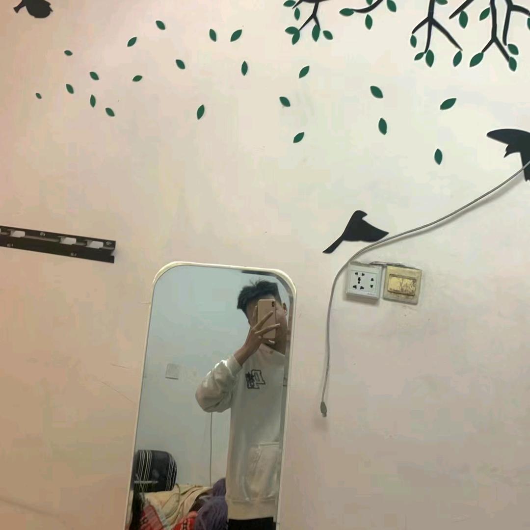 飞不起来的飞机头