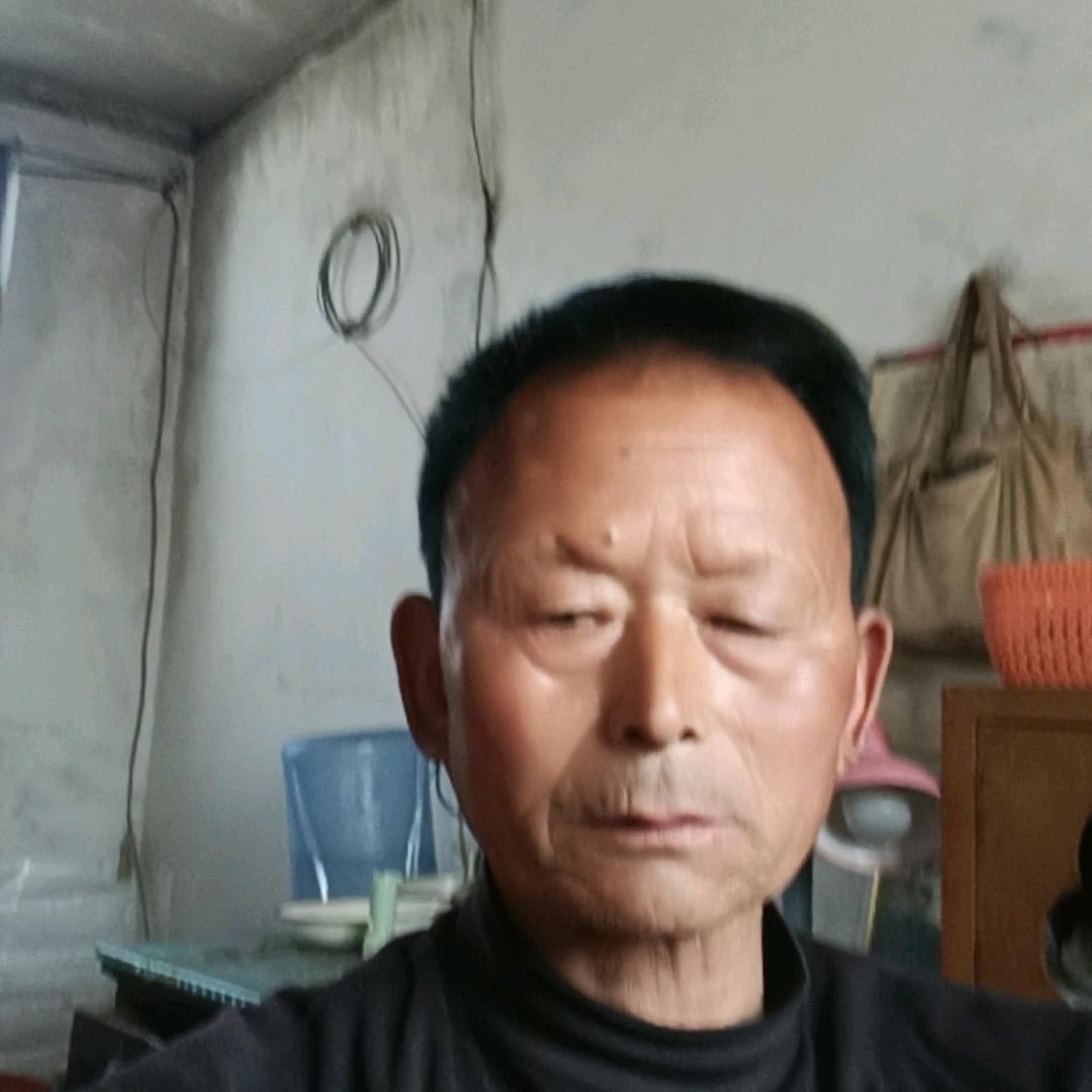 自由自在
