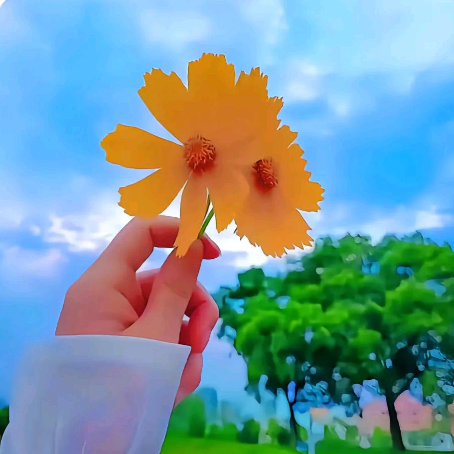 ❤️唯一
