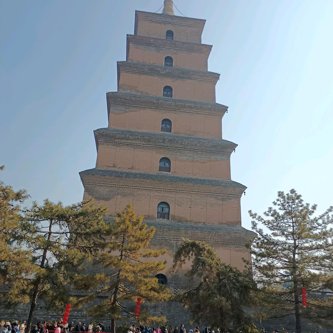 大虾仁