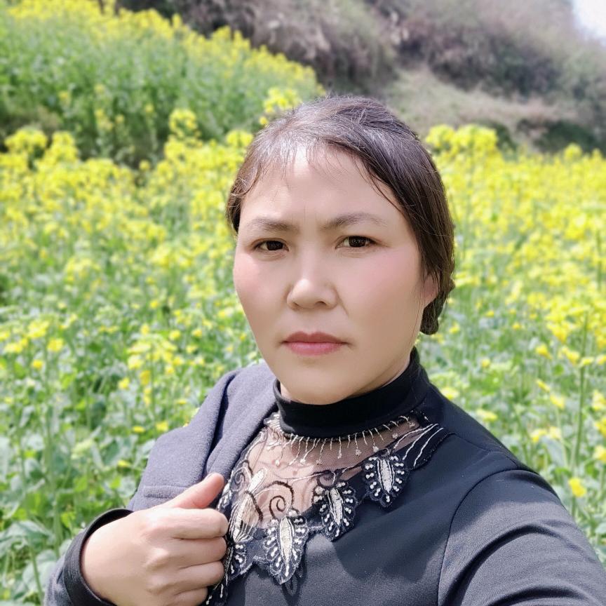 菊姐