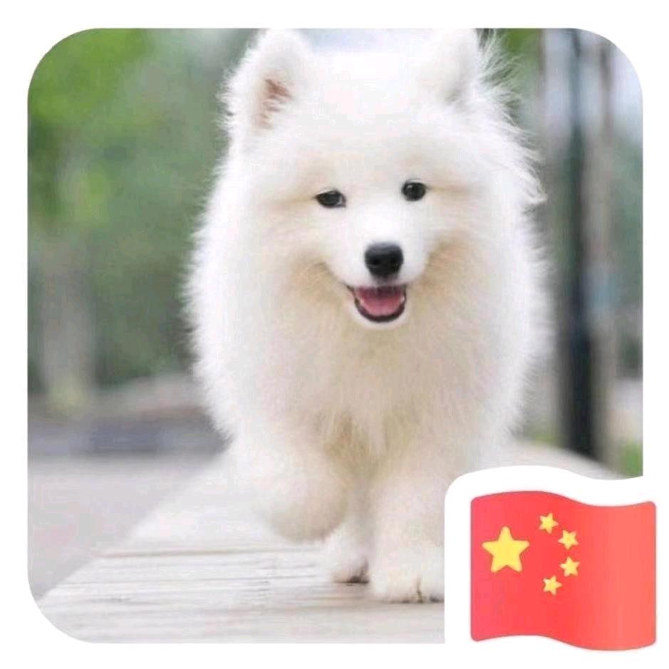 我不是小北