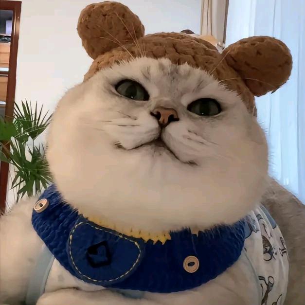 楓