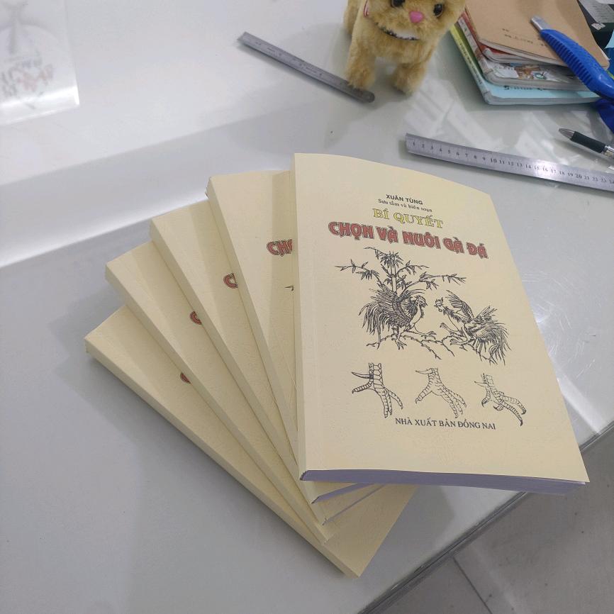 无刺蜂的甜蜜屋