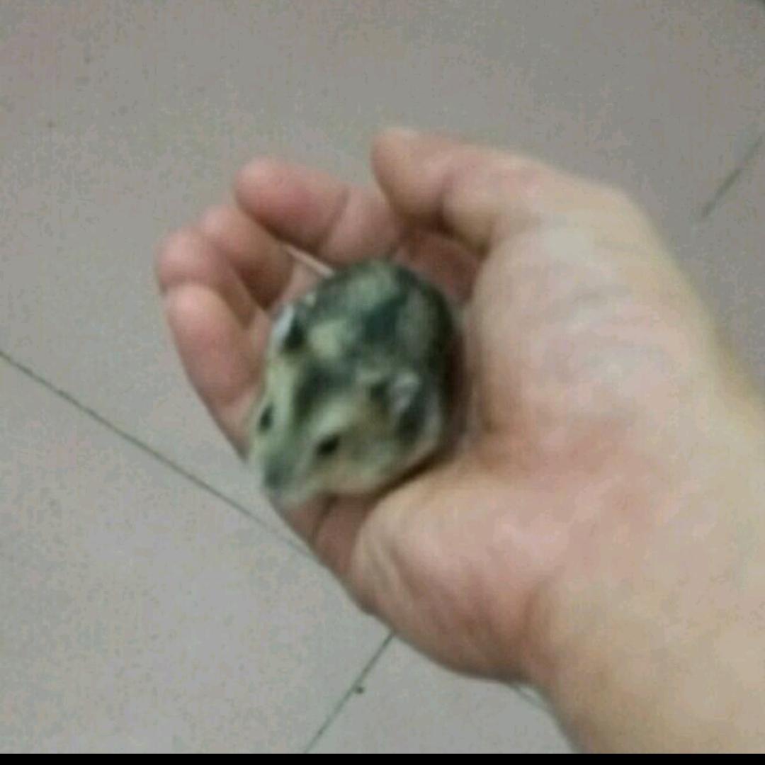 孤(万恶的人)