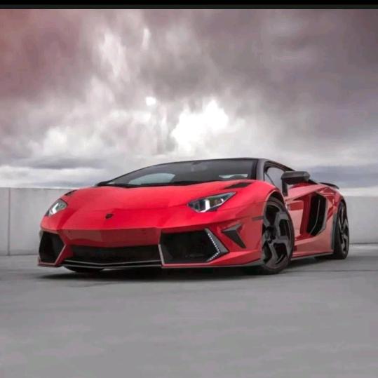 ✨✨我心飞翔✨✨