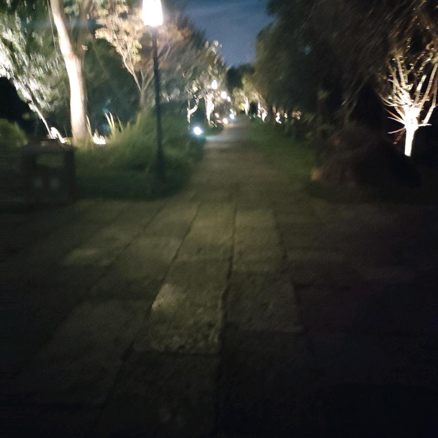 阳光