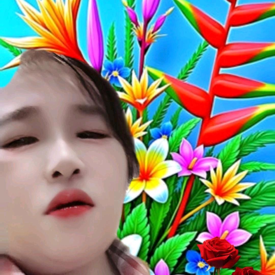 李香平2566。上午9点30开播