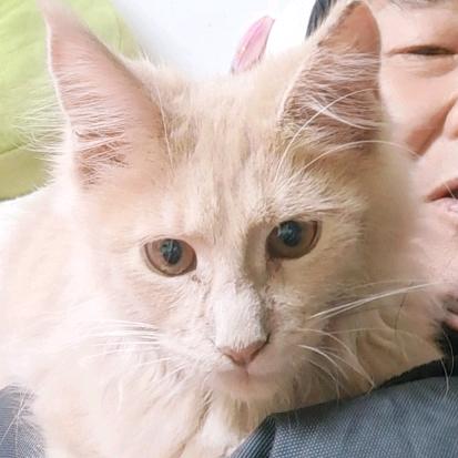 泗阳  燕姐（正能量）三