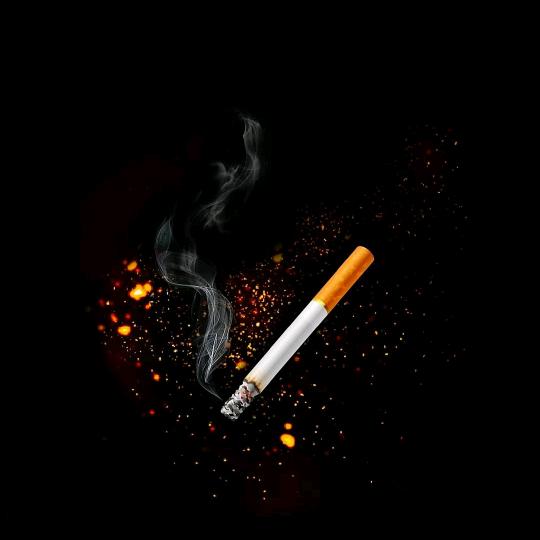 ¹³এ᭄妄忘ꦿ⁵²⁰এ