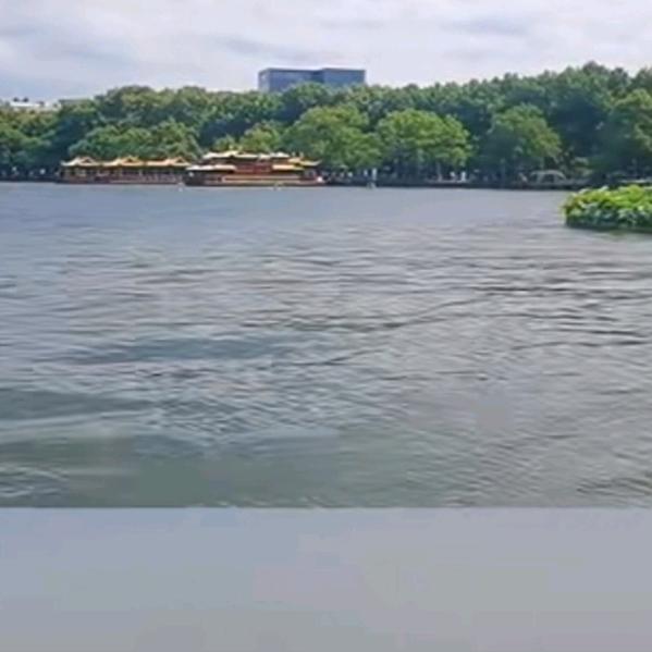 江水鹰