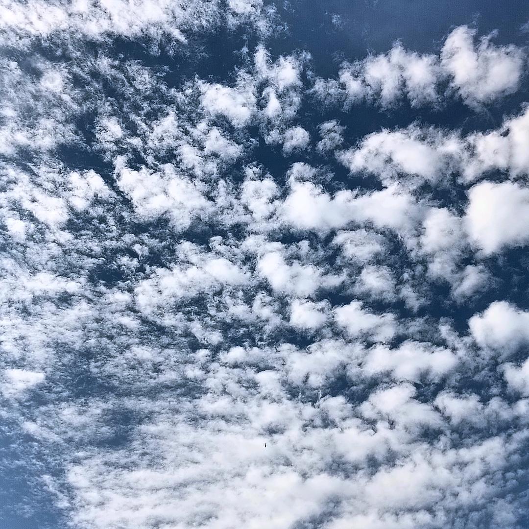 小助理好物分享