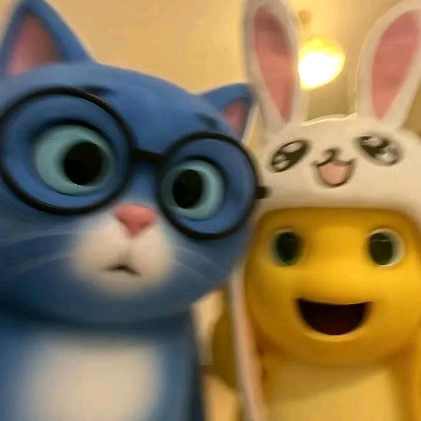 养只猫