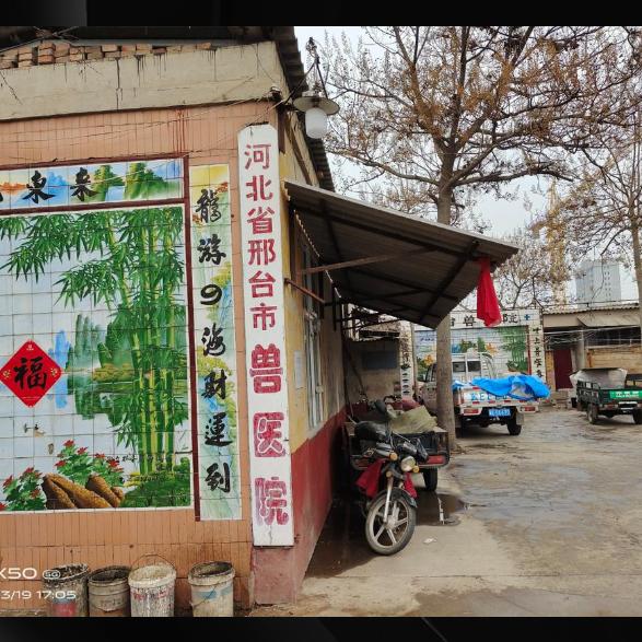 女兽医感动中国