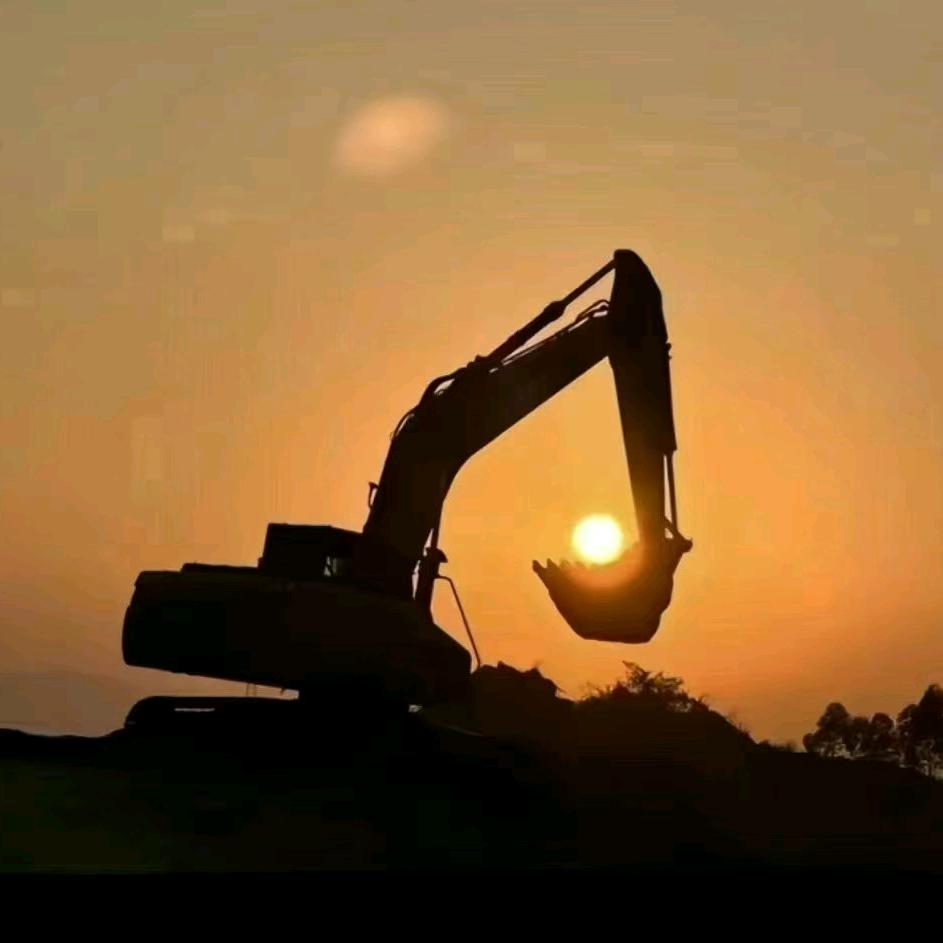 季龙大中小挖出租