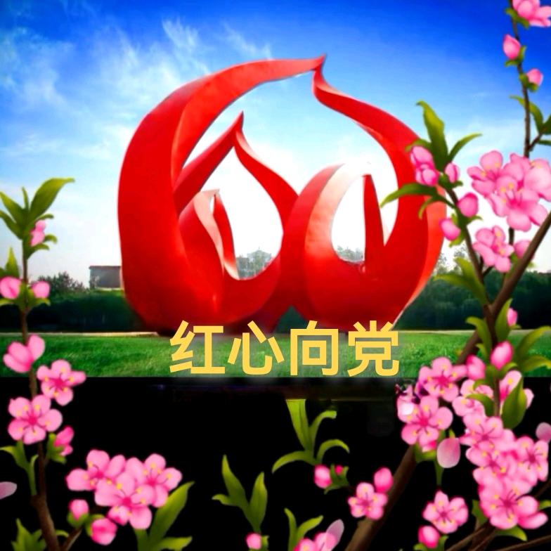 桃乡风采