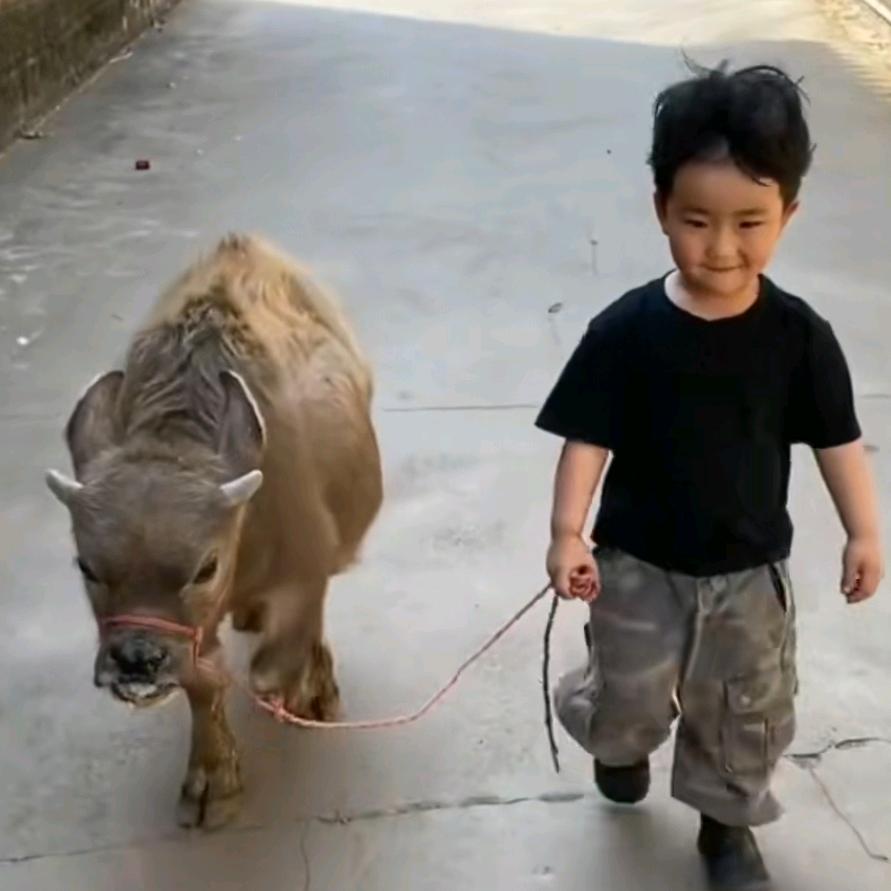 王子