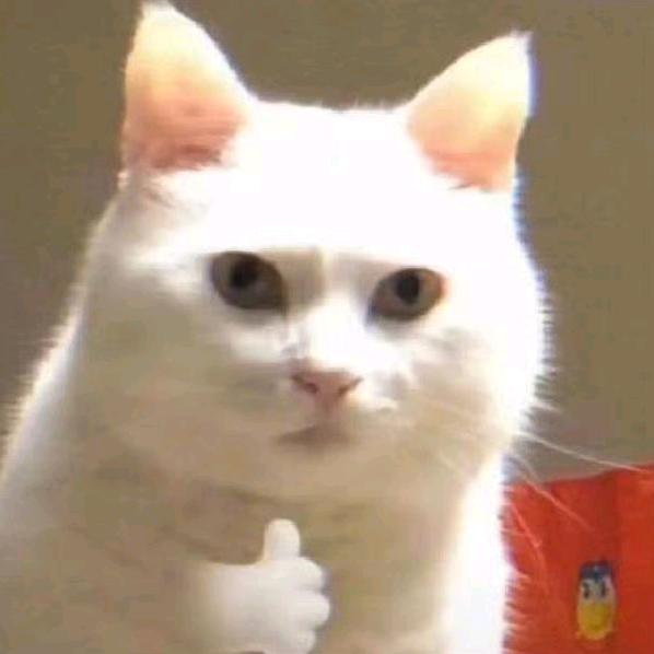 爱喝纯净水